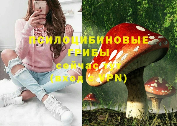 ГАЛЛЮЦИНОГЕННЫЕ ГРИБЫ Наволоки