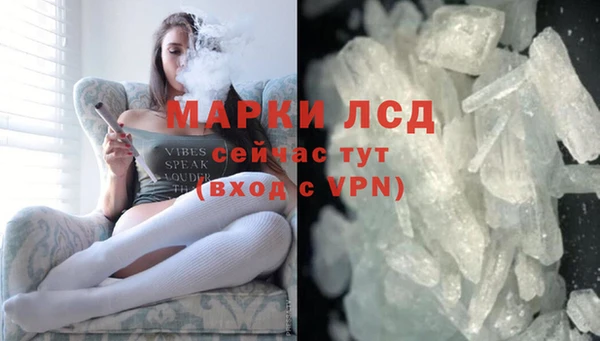 spice Надым