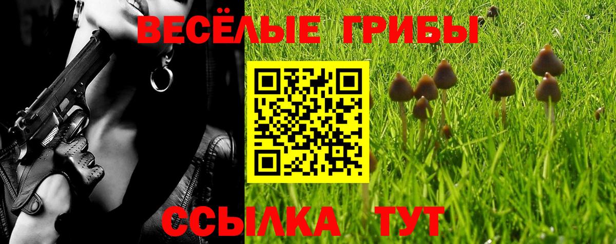 Псилоцибиновые грибы GOLDEN TEACHER  Вход с VPN  Нягань 